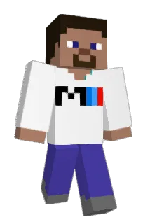gamer_1578 Minecraft avatar full body