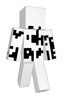 gamerhank Minecraft avatar full body