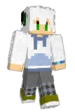 ganqwer Minecraft avatar full body
