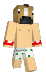 Custom render preview