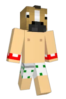 gansao Minecraft avatar full body