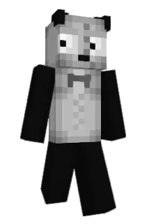 garnuch4141 Minecraft avatar full body