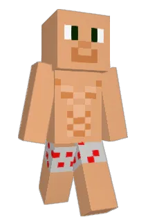 gato_vil Minecraft avatar full body