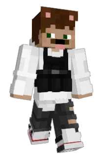 gehassterJunge Minecraft avatar full body