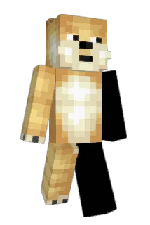 genjionechem Minecraft avatar full body