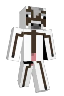 getswung13 Minecraft avatar full body
