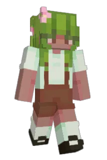 ggawecki Minecraft avatar full body