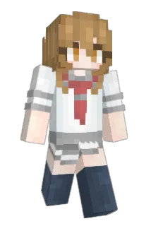 ggggg1 Minecraft avatar full body
