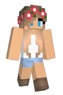 gibgabb Minecraft avatar full body
