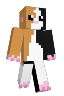 gigelminecr123 Minecraft avatar full body