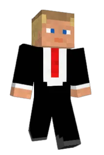 giin__ Minecraft avatar full body