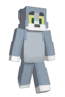 gimsocks Minecraft avatar full body