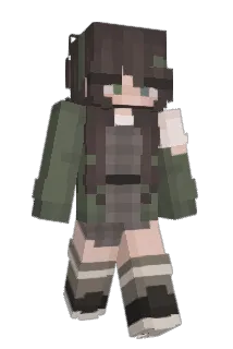 gingham Minecraft avatar full body