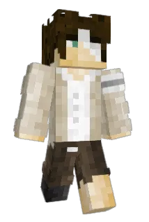 ginsubean Minecraft avatar full body