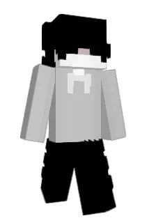 gipw Minecraft avatar full body
