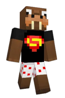 gizmo1016 Minecraft avatar full body