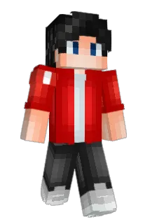 gluglu11_ Minecraft avatar full body