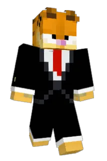 gmetsg Minecraft avatar full body