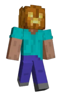 gnome49 Minecraft avatar full body