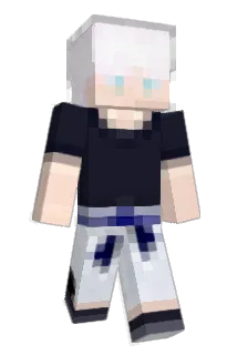 gojode Minecraft avatar full body