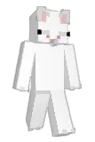 gomeomi Minecraft avatar full body
