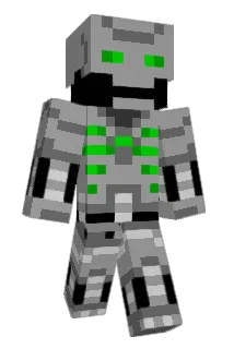 gonkaotic Minecraft avatar full body