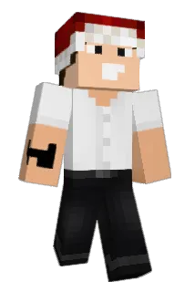 goomba91 Minecraft avatar full body