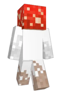 goonki Minecraft avatar full body