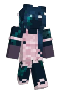gooosechase Minecraft avatar full body