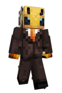 grac___3 Minecraft avatar full body