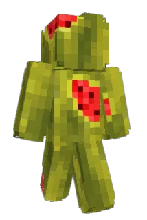 graceeliah Minecraft avatar full body