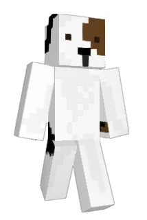 gracerten Minecraft avatar full body