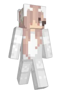 graceswim Minecraft avatar full body