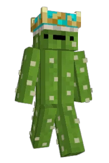 graveroses Minecraft avatar full body