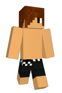 gravititt Minecraft avatar full body