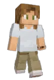 gray8872 Minecraft avatar full body