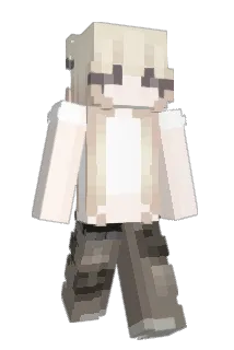 grej_ Minecraft avatar full body