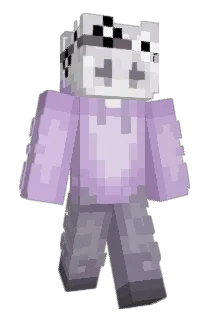 greninja4284 Minecraft avatar full body