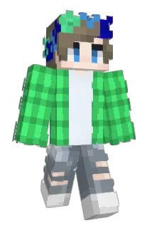 griffin409 Minecraft avatar full body