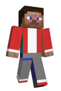 griffin990 Minecraft avatar full body