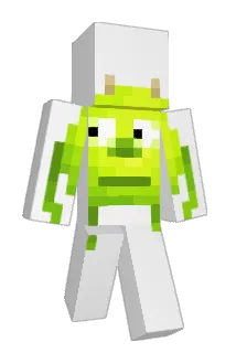 griffybob69 Minecraft avatar full body