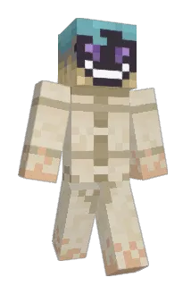 grim_248 Minecraft avatar full body