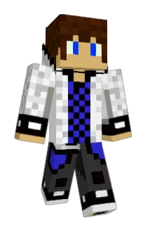 grinwis14 Minecraft avatar full body