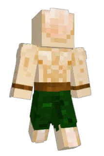 grose__ Minecraft avatar full body