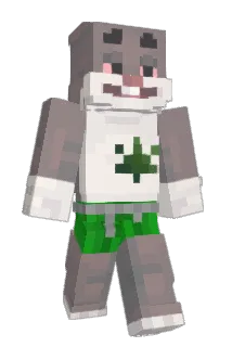 grosikszew Minecraft avatar full body