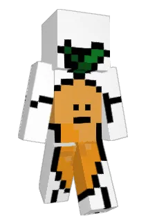 growoldwithme Minecraft avatar full body