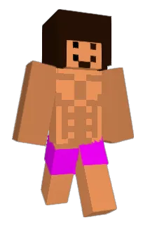 grzejnikoo_ Minecraft avatar full body