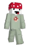 grzibek Minecraft avatar full body