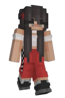 gtulol Minecraft avatar full body