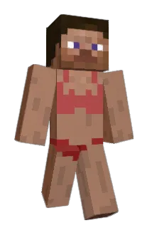 guibunda Minecraft avatar full body